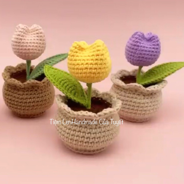 Chậu hoa tulip bằng len