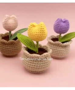 Chậu Hoa TuLip mini bằng Len handmade