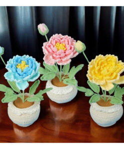 Chậu hoa mẫu đơn để bàn decor bằng len handmade