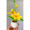 Chậu Hoa Lan Sao Hoả bằng len|Martian Orchids