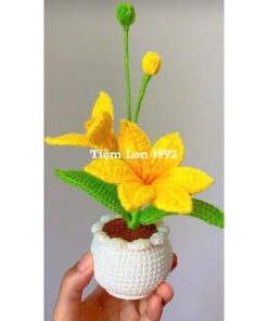 Chậu Hoa Lan Sao Hoả bằng len|Martian Orchids